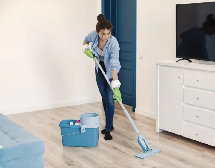 Femme de ménage Wallers